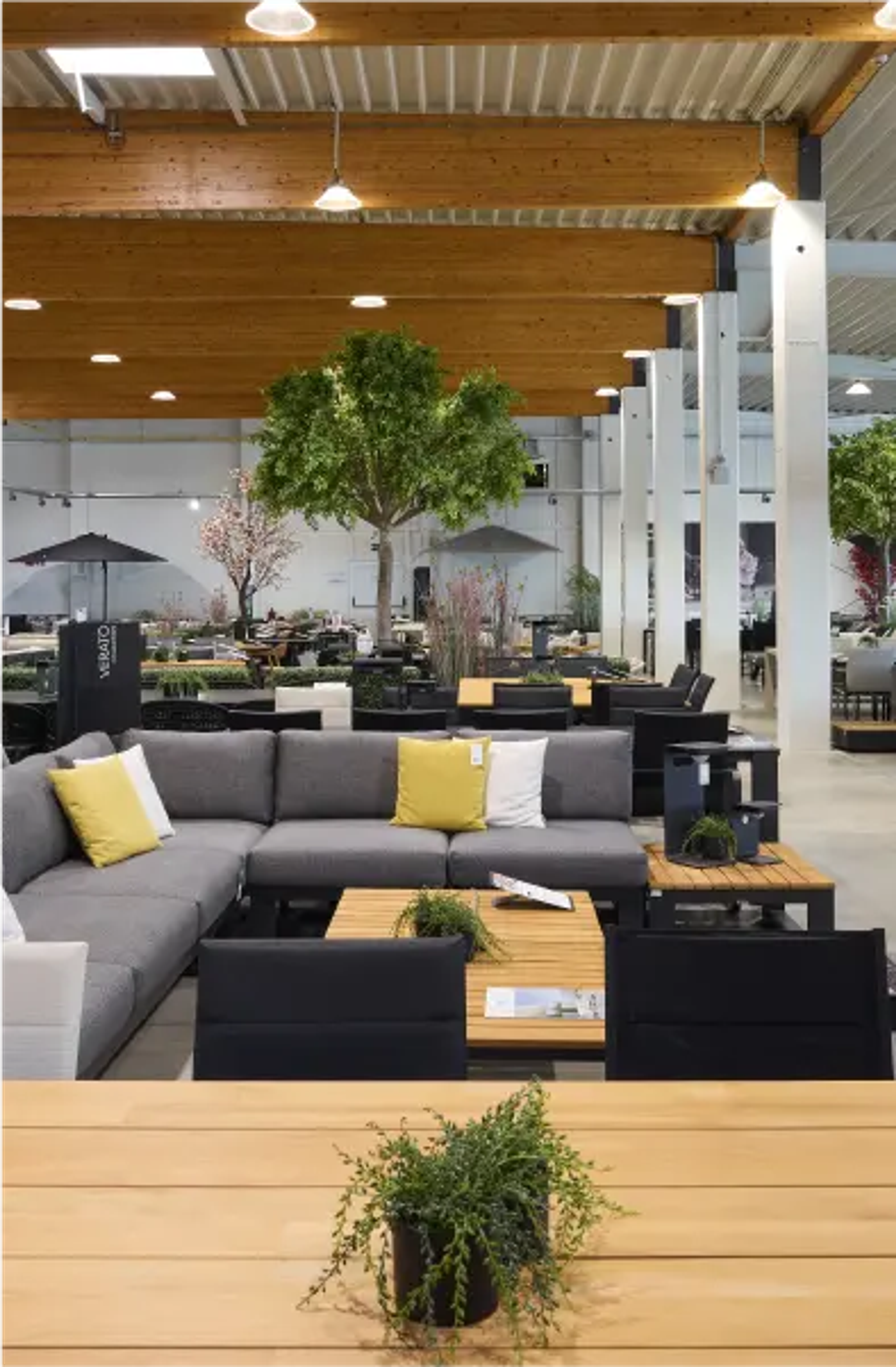 Intérieur du showroom Exterioo Hertsal