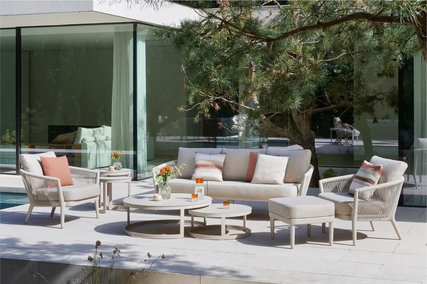 Collections Bristol - Orso